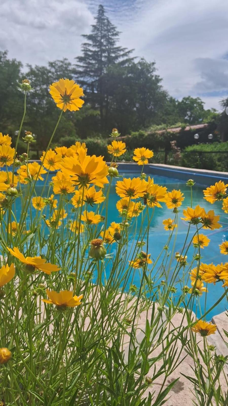 Hosteria Pastoral & Spa La Cumbre Luaran gambar